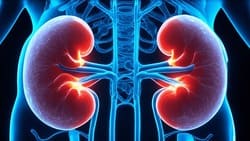 eGFR: A Key Marker of Kidney Health Preview