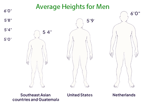 Erkekler için Ortalama Boy Grafiği