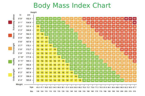 Vücut Kitle İndeksi Grafiği