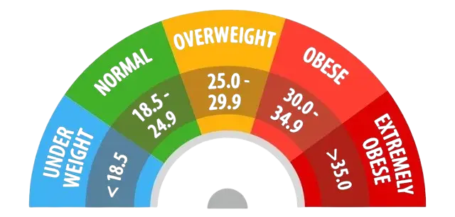 Sơ đồ BMI