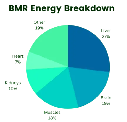 Divisão de Energia da TMB
