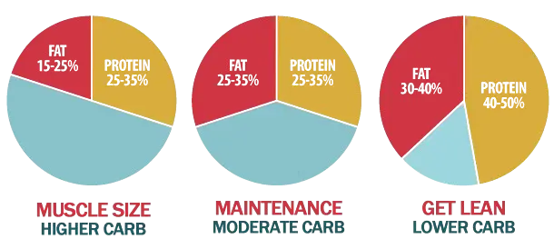 Fat Carbs and Protein Diagram