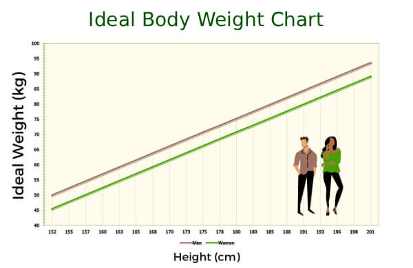 Biểu đồ cân nặng lý tưởng
