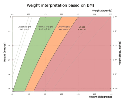 Grafik Berat Badan Ideal