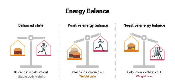 Negative Energy Balance Sample