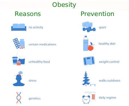 Obesity Reasons and Prevention