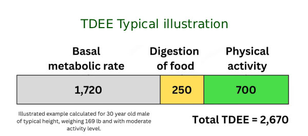 Ilustração dos componentes do TDEE