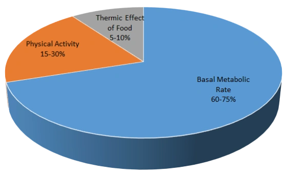 Diagram TDEE